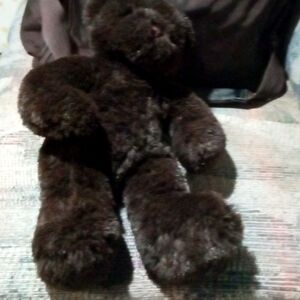 Vintage "Color Rich"  A Dark Chocolate Brown Bear Plush